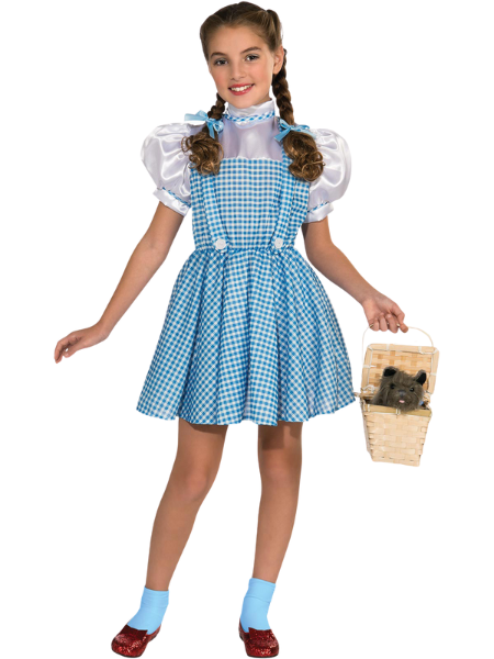 Dorothy Wizard of Oz CHILD costume