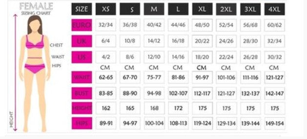 Dorothy Wizard of Oz Adult Costume