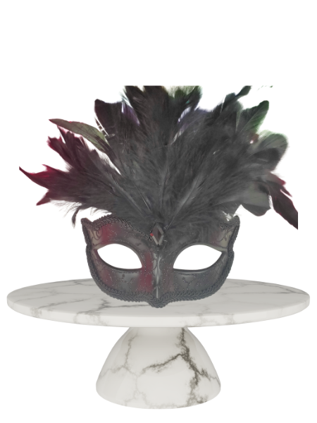 Black elegant masquerade with feathers
