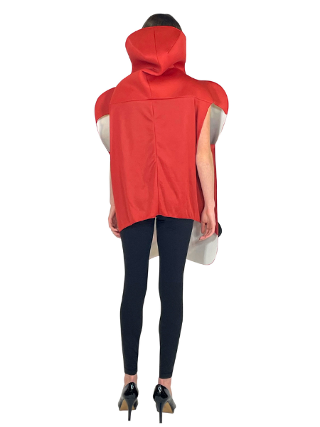 Charcuterie board costume Adult