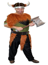 Viking Warrior Adult Costume