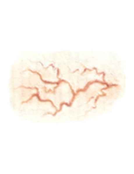 3D FX Transfer Veins