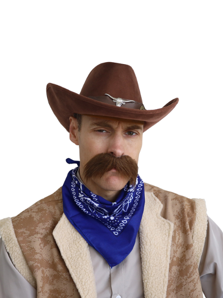 Cowboy hat Brown with bull feature on band