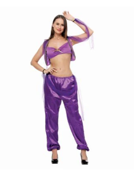 Arabian Princess Costume - Adult