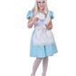 Alice in wonderland costume - adult