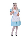 Alice in wonderland costume - adult