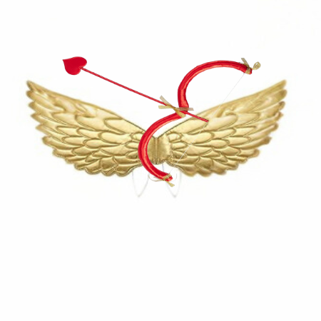 Cupid bow and arrow / Wings set