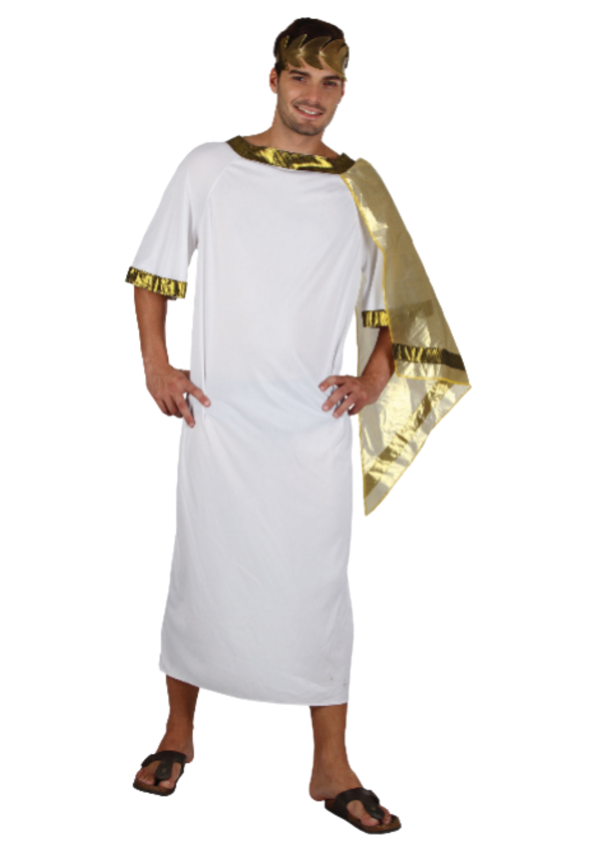 Ancient Man Toga Style Adult - Costume