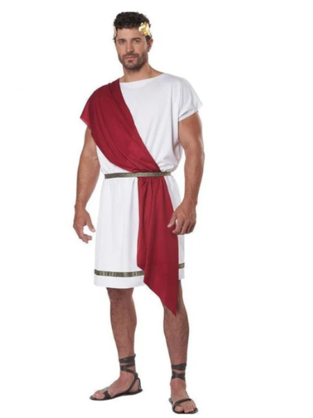 Party Toga Costume - Adult