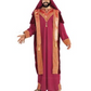 Sultan Jafar inspired costume - Adult
