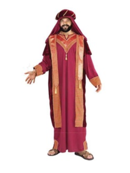 Sultan Jafar inspired costume - Adult