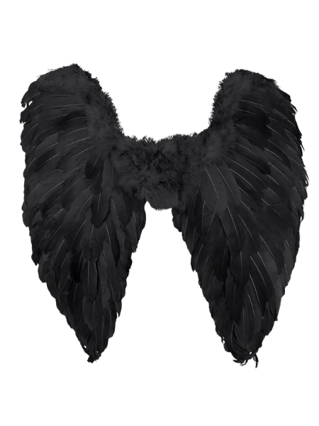 Black Angel Wing Feather