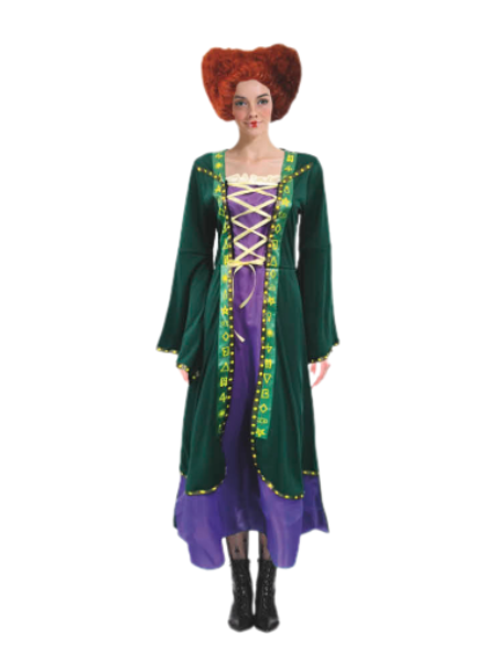 Hocus pocus Winifred sanderson inspired costume- Adult